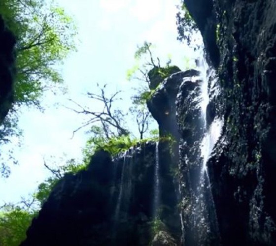 青山綠水，白龍江畔江畔息白鷺，兩岸綠橄欖入眼的都是純樸自然枝上花開(kāi)，春來(lái)水暖魚(yú)蝦戲水，鳥(niǎo)語(yǔ)花香心中充滿(mǎn)著舒暢之感祥宇生態(tài)產(chǎn)業(yè)園，位于隴南市武..